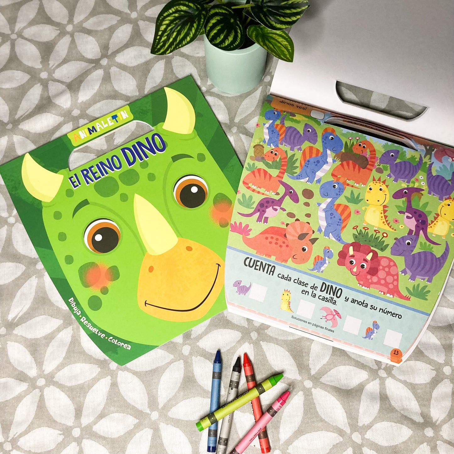 Spanish Activity Book for Kids -Animaletin