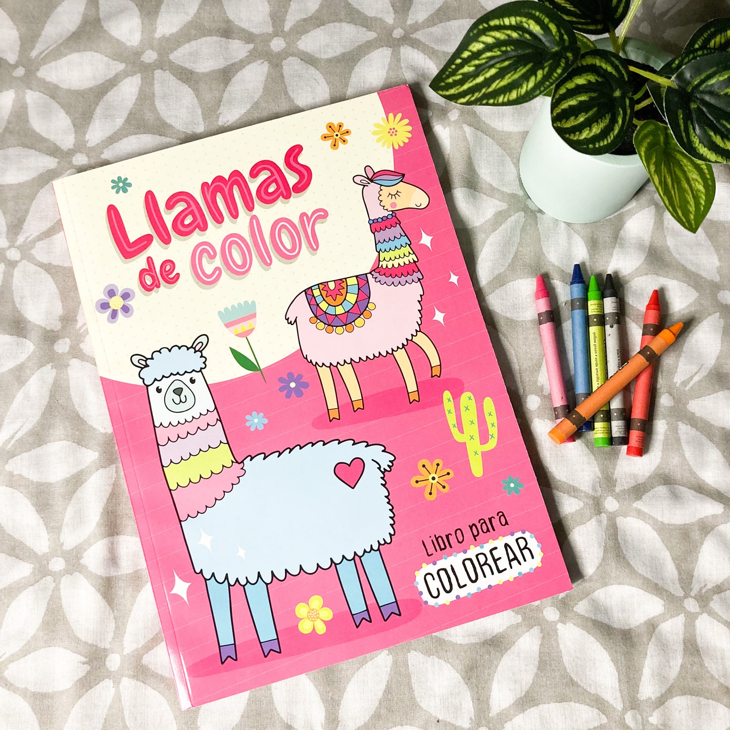 Llama Coloring Book