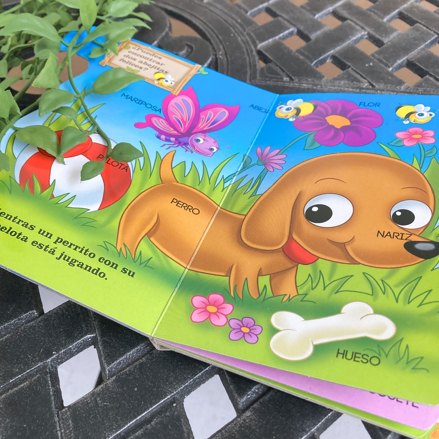 Spanish Board Books for Children